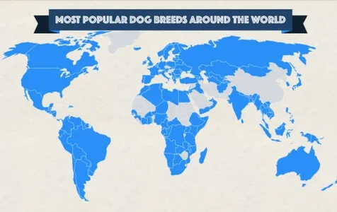 most popular dog breeds worldwide