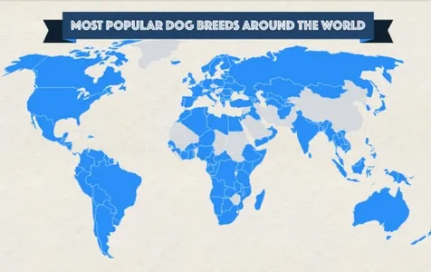 The Most Popular Dog Breeds of 2020