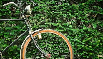 Cycling discount codes