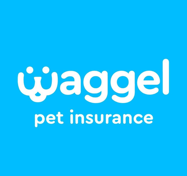 Waggel Pet Insurance Review 2020 Finder Uk