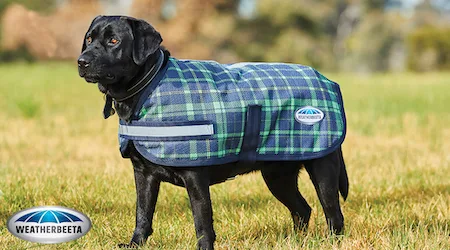 Naylors Equestrian discount codes and promos for January 2021
