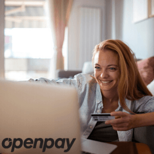 woman shopping online
