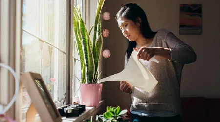 The boomerang generation: Why are people moving back home?