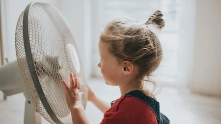Where to buy electric fans, floor fans and desk fans online