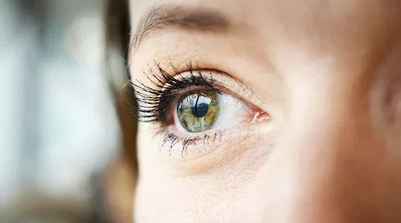 What is a lash lift: Everything you need to know