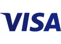 visa icon