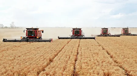 Wheat stocks: Popular wheat companies to invest in