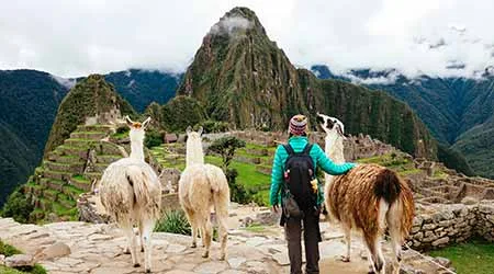 Best sites to book South America tours online