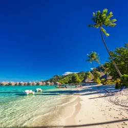 A guide to finding the best prepaid SIM card when travelling to French Polynesia