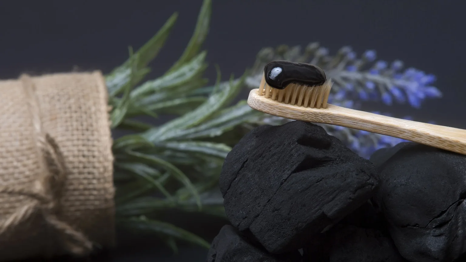 Image: Getty Images Activated charcoal toothpaste on coal briquettes with natural plant background