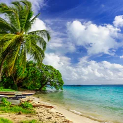 A guide to finding the best prepaid SIM card when travelling to Kiribati