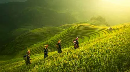 Best Vietnam tours for 2020
