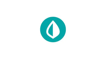 Mint app review