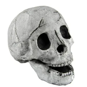 Image: Supplied Myard fireproof imitation human skull, Halloween decoration