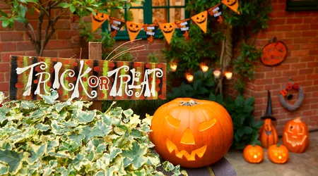 Where to buy Halloween decorations online in 2021