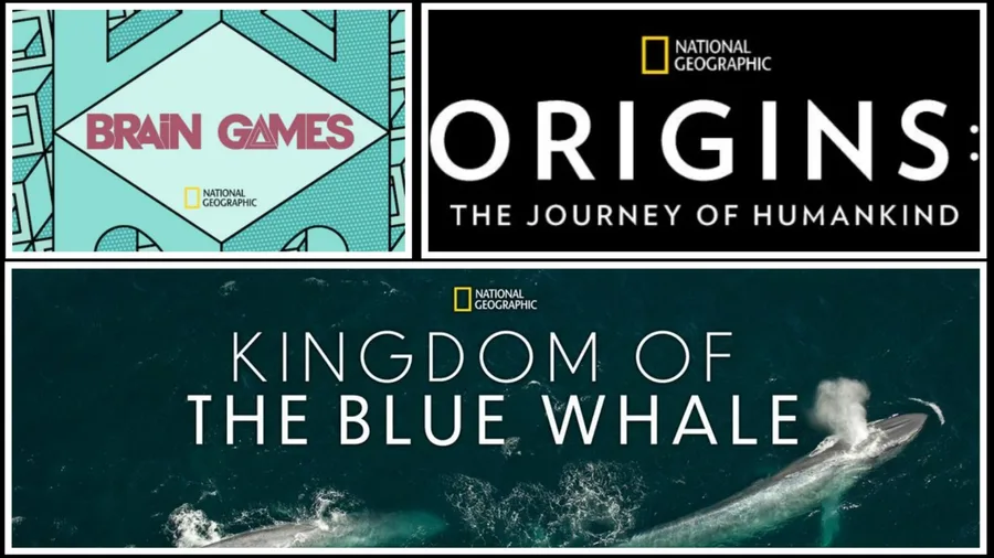 The 15 Best National Geographic Shows on Disney+ Finder The 15 Best National Geographic Shows on Disney+ Finder