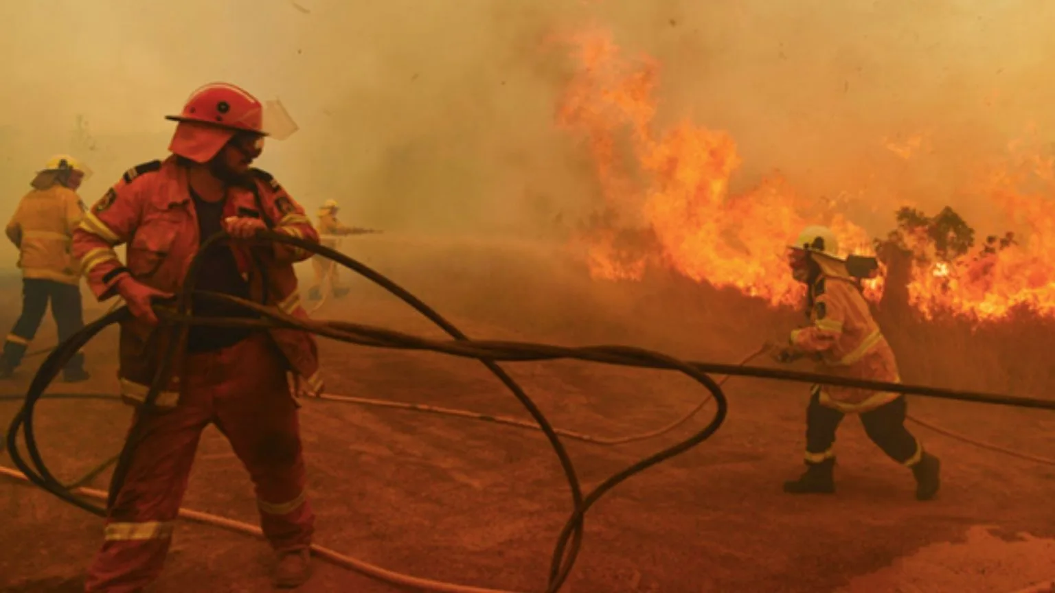 Image: Getty Images Firefighters putting out fires.