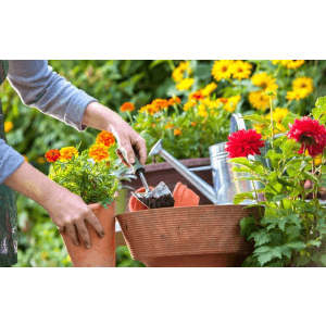 Where To Buy Gardening Supplies Online In Canada Finder Canada