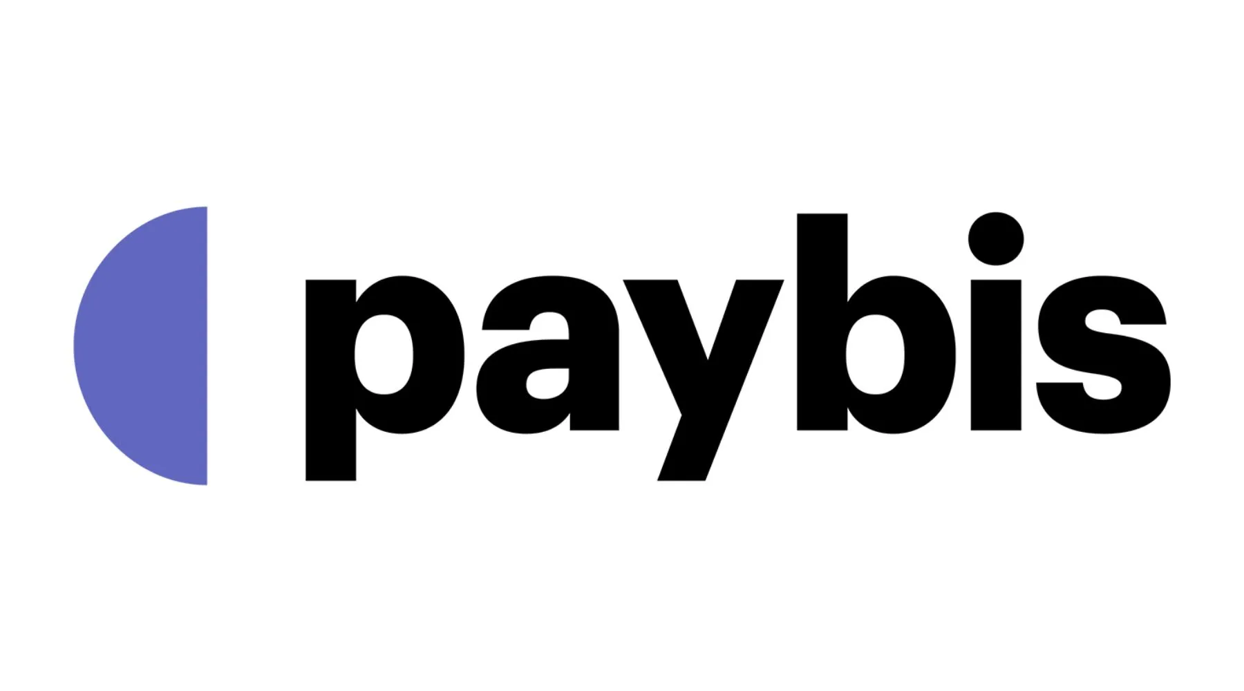 Paybis Review | Fees, Features & More