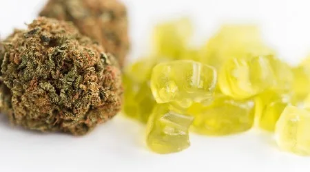 Where to buy CBD gummies online in Canada