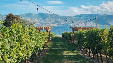 Kelowna hotels | Where to stay in the Okanagan Valley