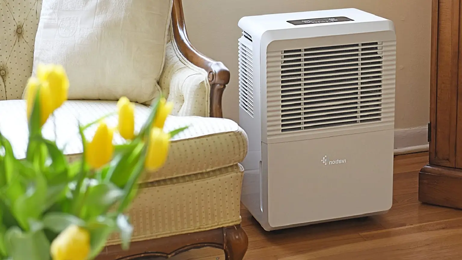 pinterest dehumidifier