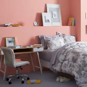 Image: walmart interior paint