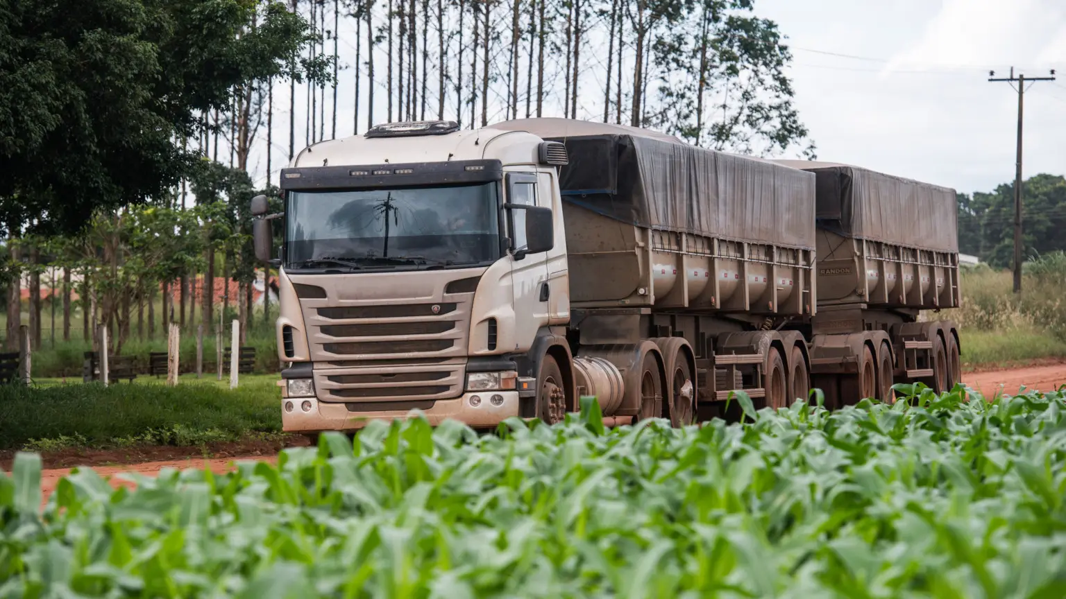 Image: Getty Images A transport truck carrying commodities driving past a field