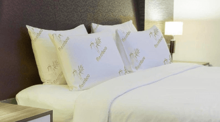 Where to buy bamboo pillows online in Canada 2021