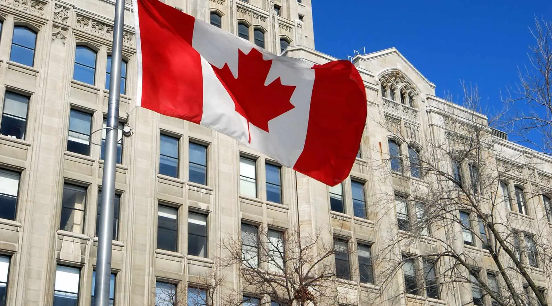 5 Best Canadian ETFs for 2024 + ETF Fees Finder Canada