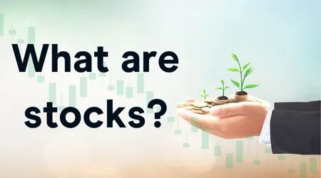 What are stocks?