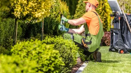 Options & costs for financing landscaping projects