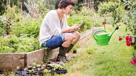 Where to buy home gardening supplies online in Hong Kong