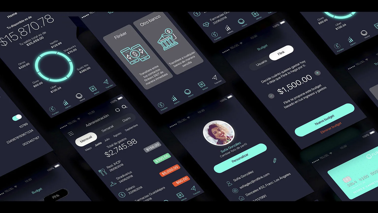 Image: Supplied Flink App
