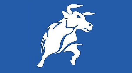 Reseña de BlackBull Markets: una plataforma de trading profesional