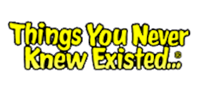 Things You Never Knew Existed Things You Never Knew Existed