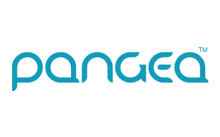 Pangea Money Transfer review 2021: Fees, rates, is it safe? | finder.com