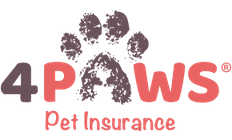 4paws Pet Insurance 4paws Pet Insurance