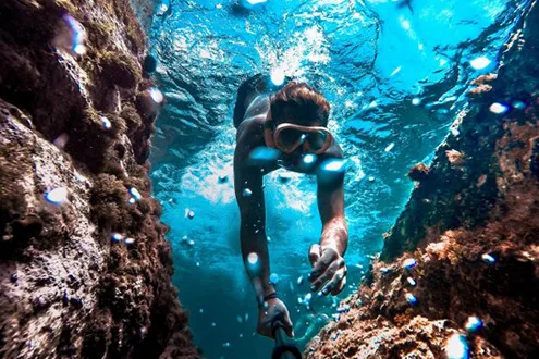 Snorkel Tour and Nature Walk, Ecotreasures
