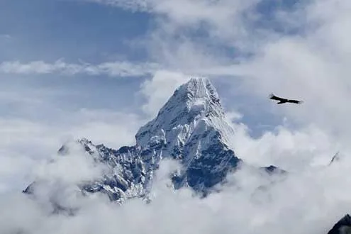 Highway to Himalayas with On The Go Tours