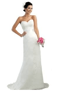 Faironly Lace Modified A-line Bridal Gown Wedding Dress