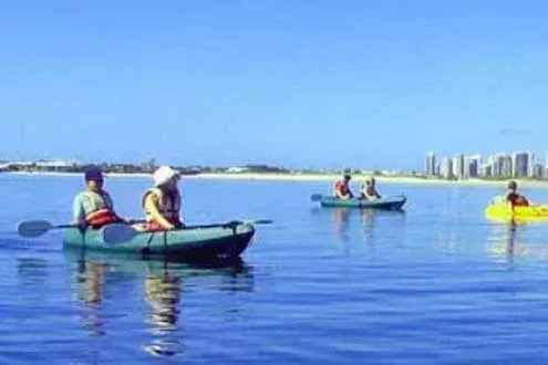 Sea Kayaking, Dolphin and Stradbroke Island Tour