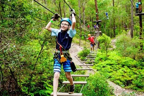 High Ropes and Flying Fox Adventure