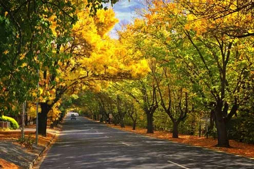 Hahndorf and Adelaide Hills Hop On Hop Off Tour