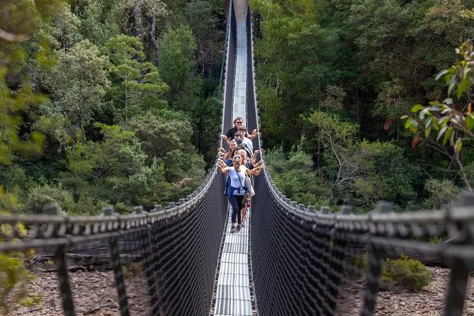 Huon Valley and Tahune Airwalk Active Day Trip Including Hastings Caves