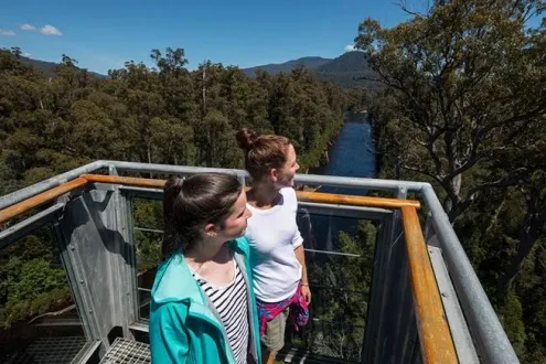 Tahune Adventures with Airwalk Admission