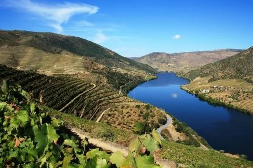 Duoro Valley Wine Tour