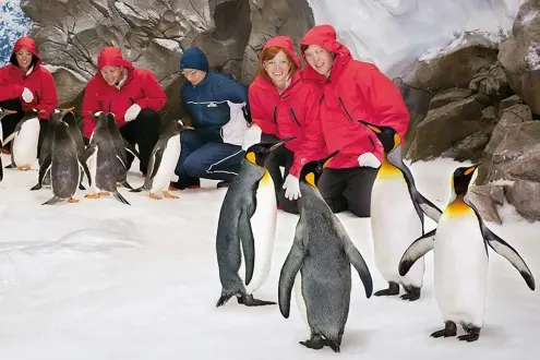 Antarctic Adventure Sea World Entry