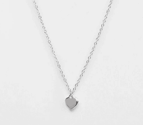 Ted Baker Hara tiny heart pendant necklace in silver