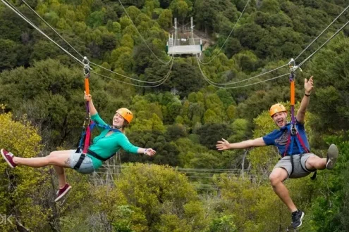 Waiheke Island Zipline and Wine Tasting Day Tour from Auckland